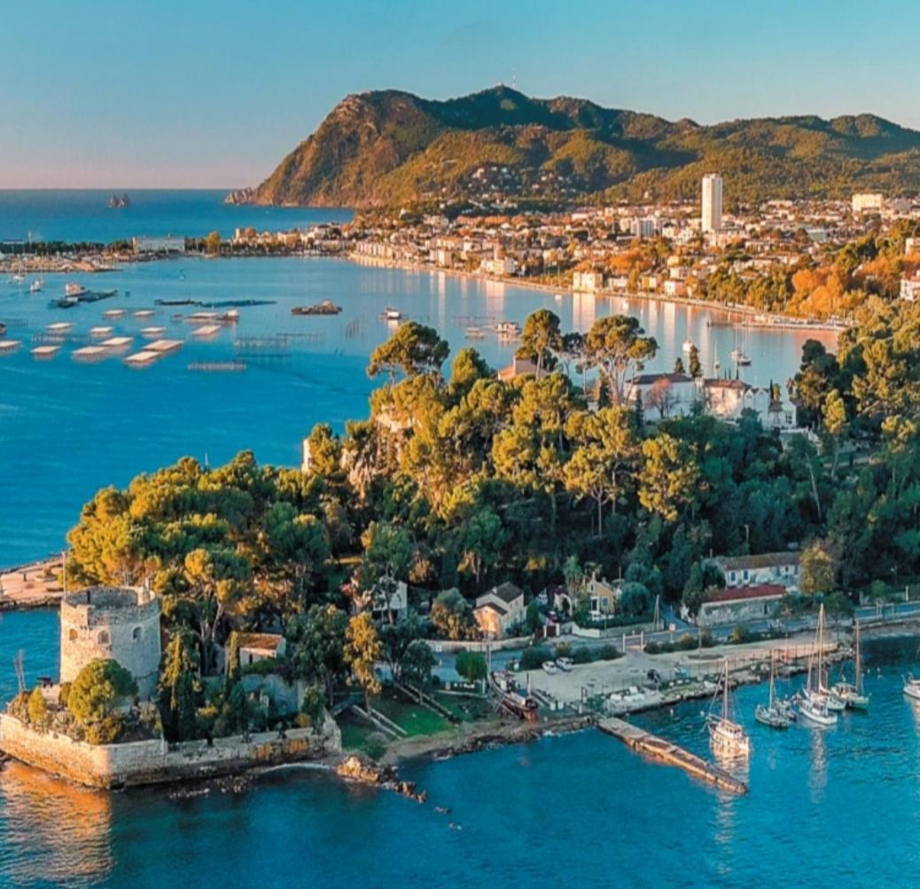 Villa-Chateau Les Terrasses - Tamaris, Plage Des Sablettes, Mer Au Bas De La Propriete La Seyne-sur-Mer Bagian luar foto