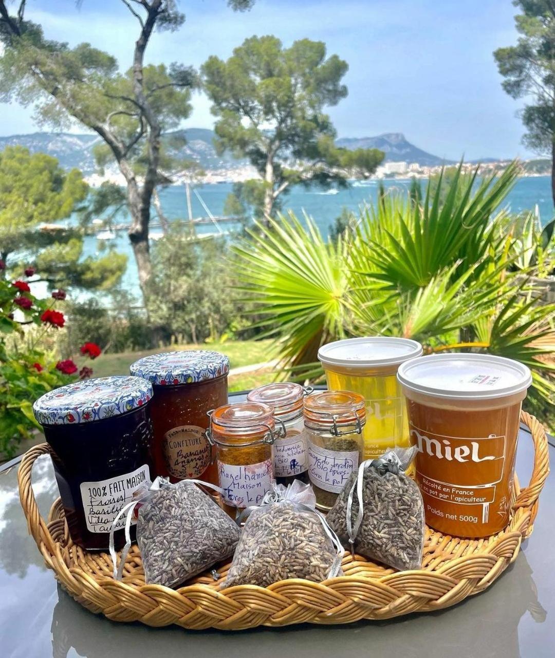 Villa-Chateau Les Terrasses - Tamaris, Plage Des Sablettes, Mer Au Bas De La Propriete La Seyne-sur-Mer Bagian luar foto