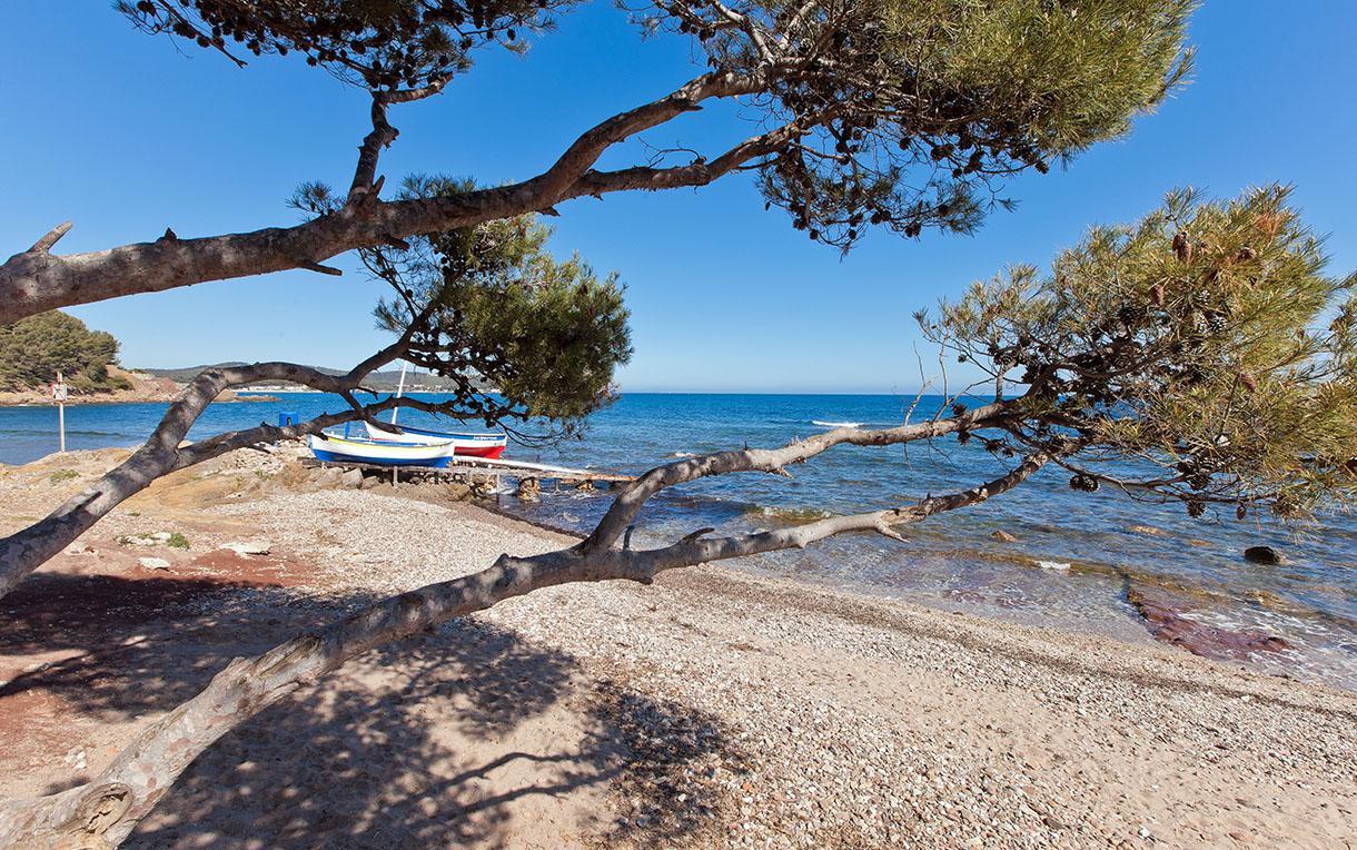 Villa-Chateau Les Terrasses - Tamaris, Plage Des Sablettes, Mer Au Bas De La Propriete La Seyne-sur-Mer Bagian luar foto